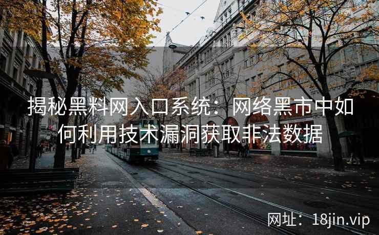 揭秘黑料网入口系统：网络黑市中如何利用技术漏洞获取非法数据