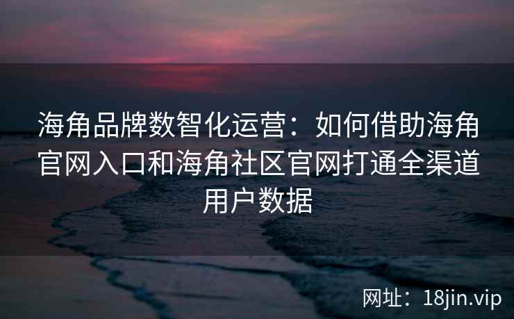 海角品牌数智化运营：如何借助海角官网入口和海角社区官网打通全渠道用户数据