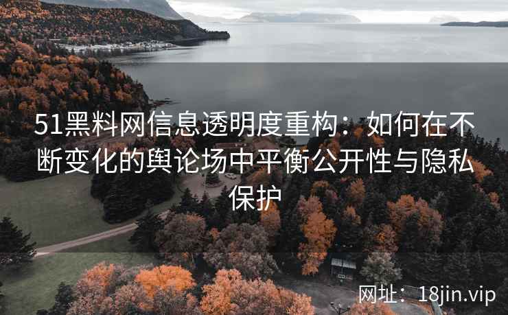 51黑料网信息透明度重构:如何在不断变化的舆论场中平衡公开性与隐私保护 51黑料网信息透明度重构:如何在不断变化的舆论场中平衡公开性与隐私保护